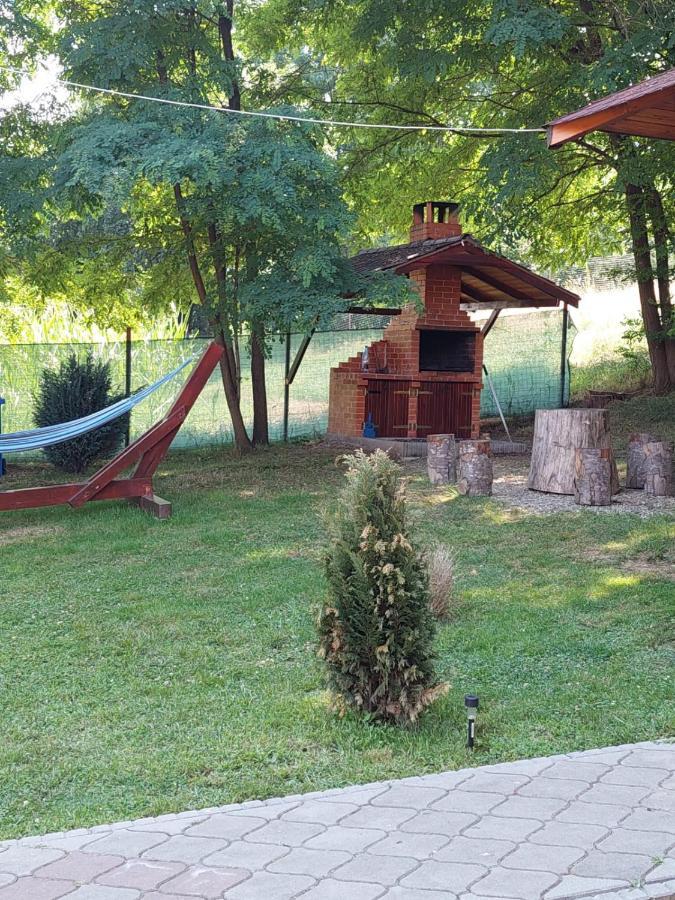 Pensiunea Sonia Кырцишоара Экстерьер фото